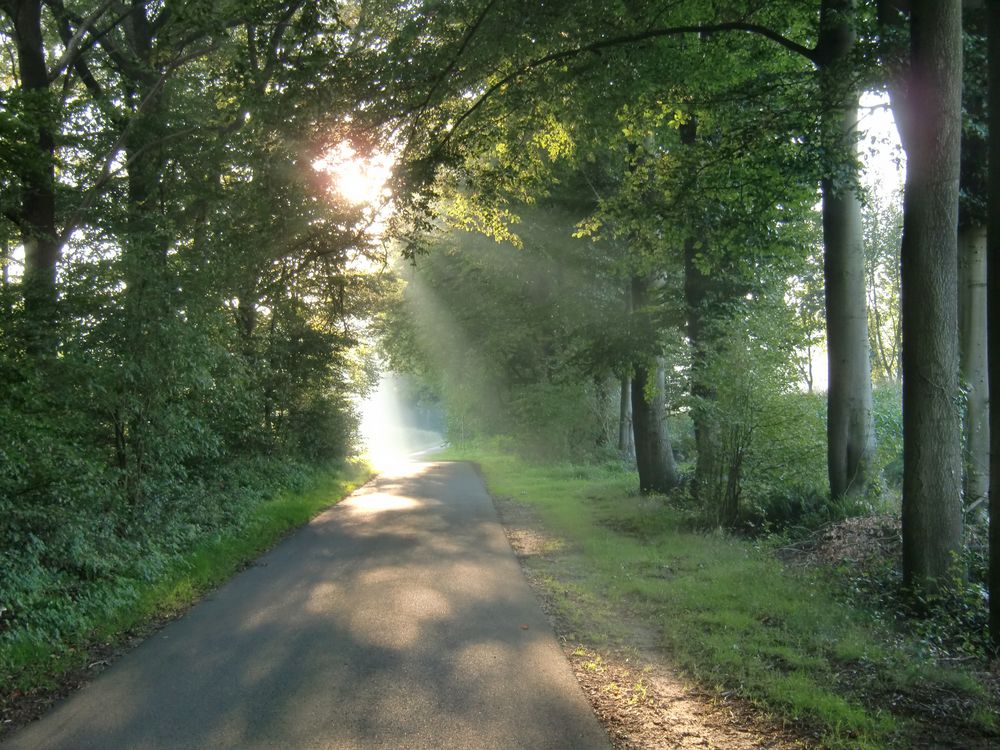 Herbstspaziergang 2