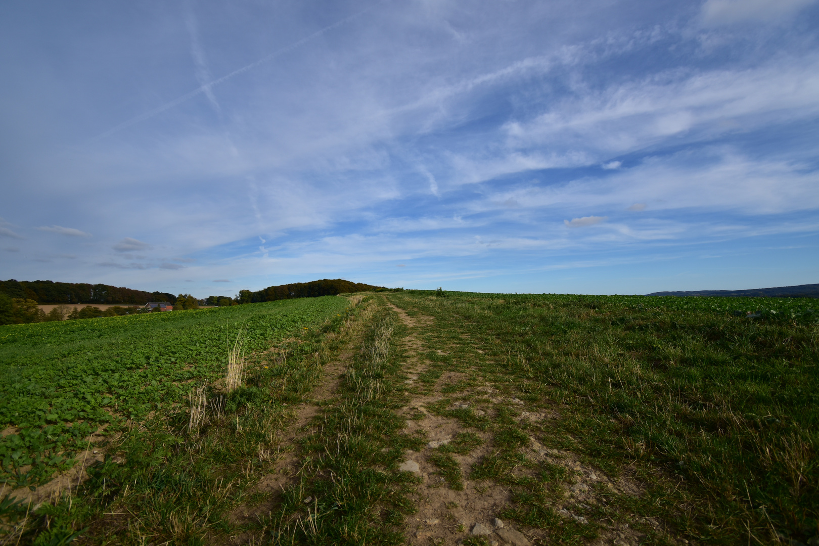 Herbstspaziergang 2 (unbearbeitet)