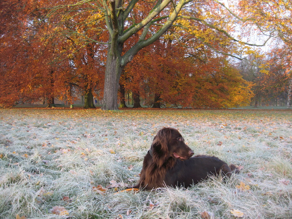 Herbstspaziergang 2007