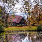 Herbstspaziergang 2013