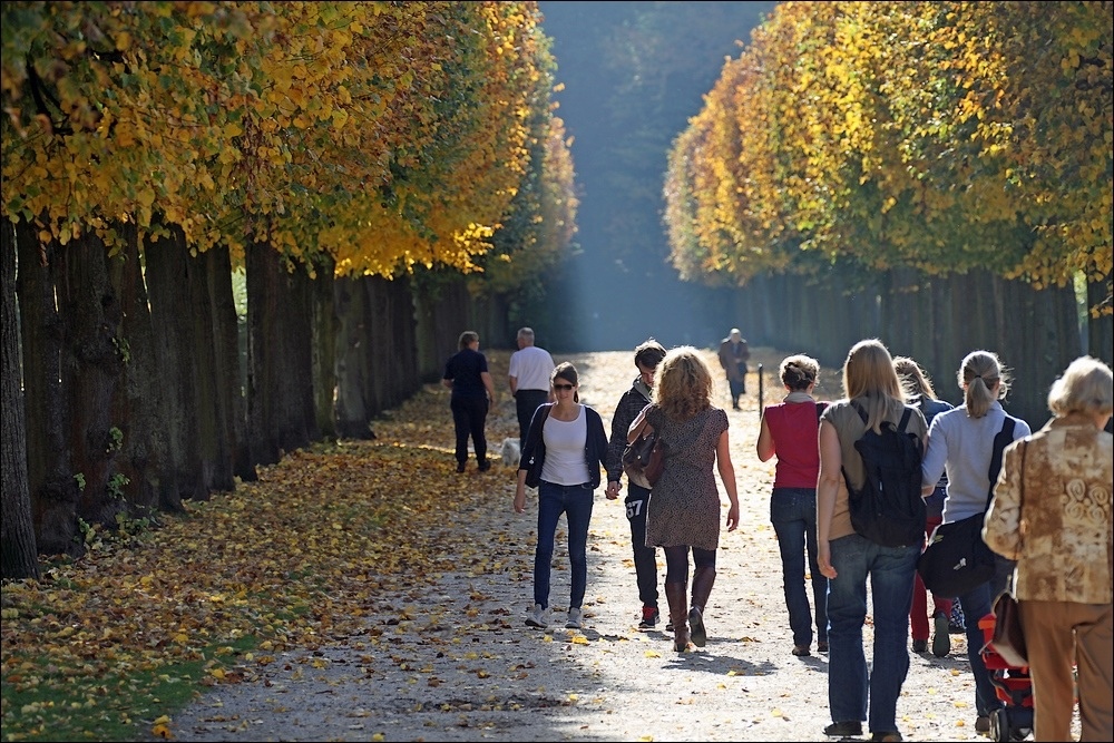 Herbstspaziergang