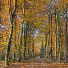 Herbstspaziergang