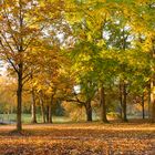 Herbstspaziergang