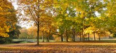 Herbstspaziergang