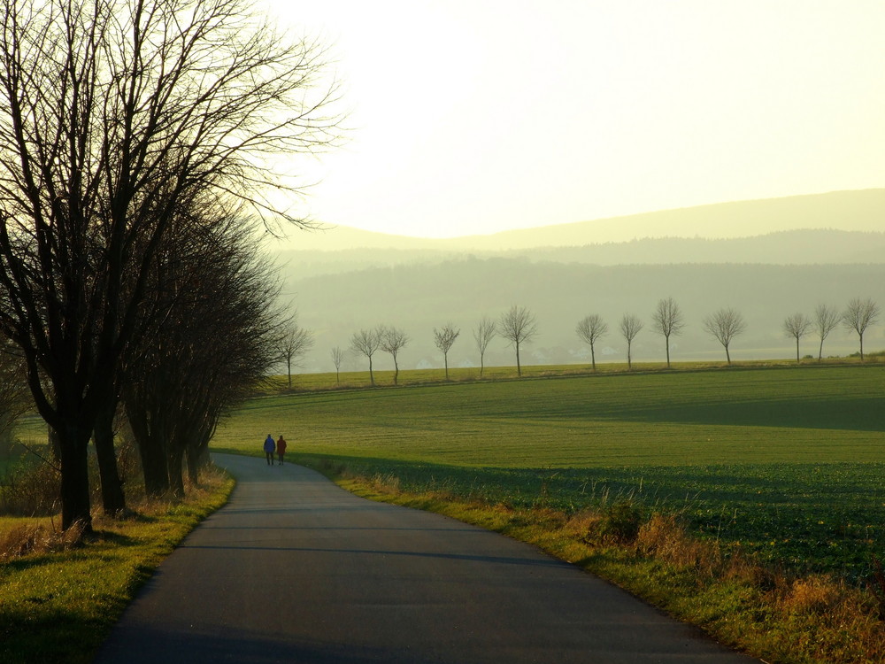 Herbstspaziergang