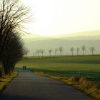 Herbstspaziergang