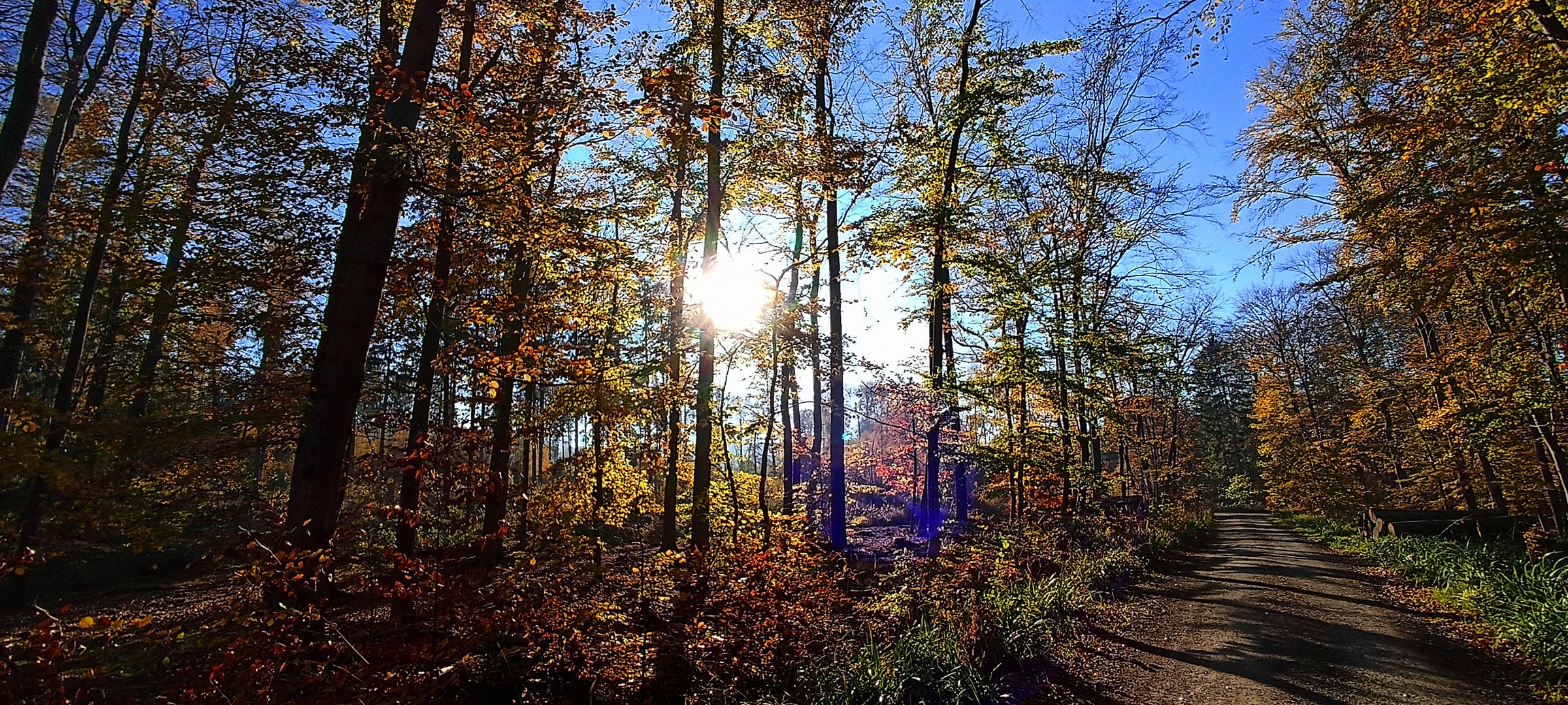 Herbstspaziergang