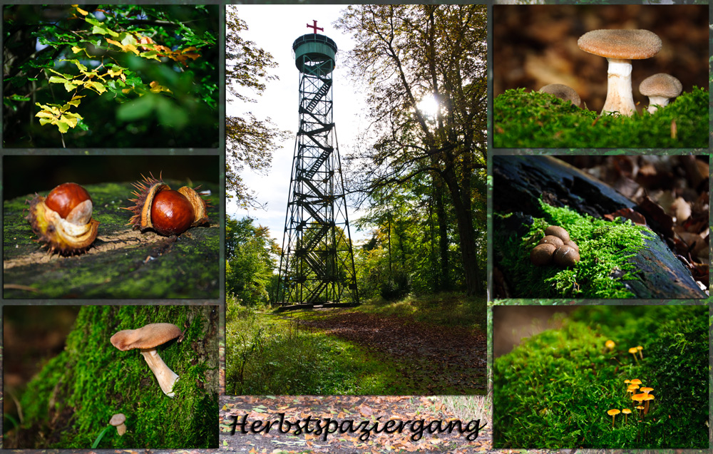 Herbstspaziergang