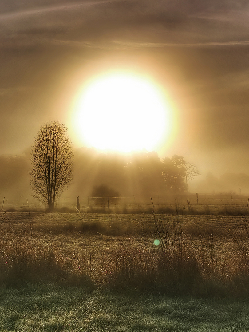 Herbstspaziergang