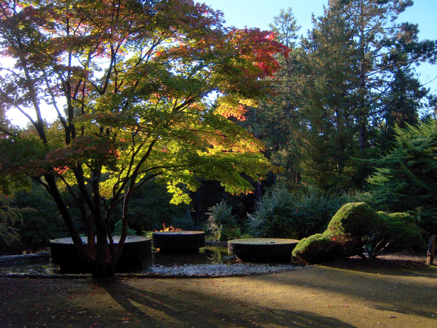 Herbstspaziergang