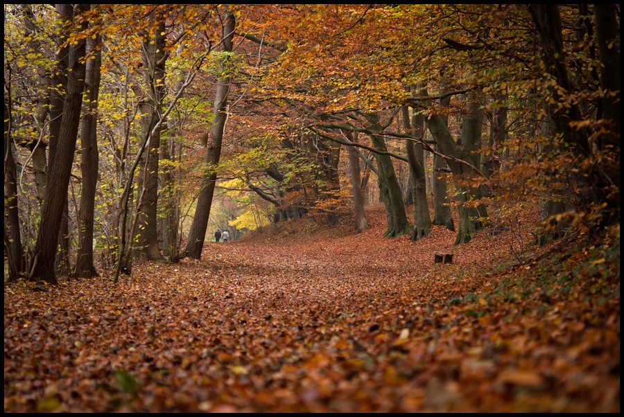 Herbstspaziergang