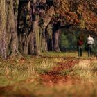 Herbstspaziergang