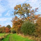 Herbstspaziergang