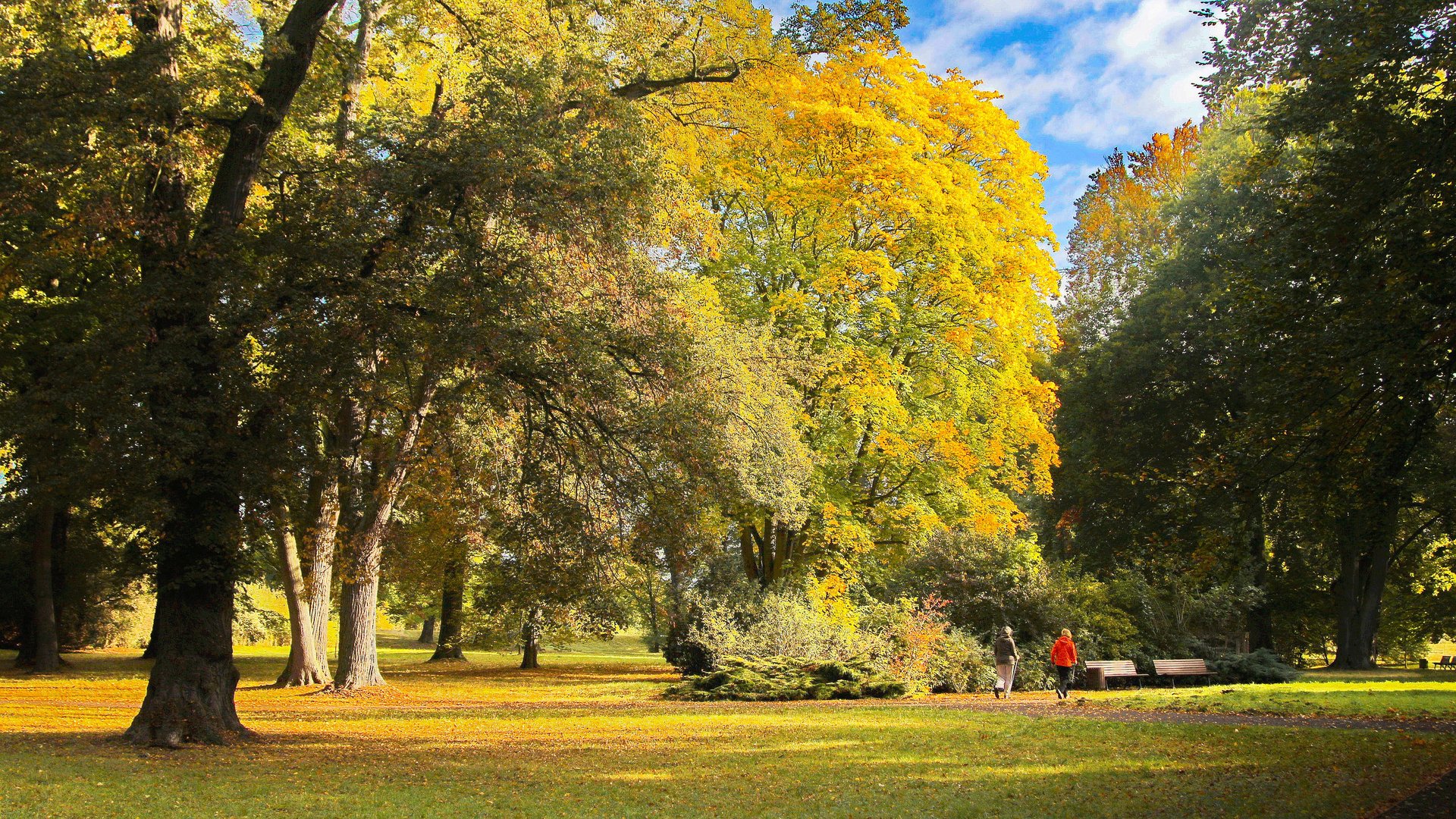 Herbstspaziergang