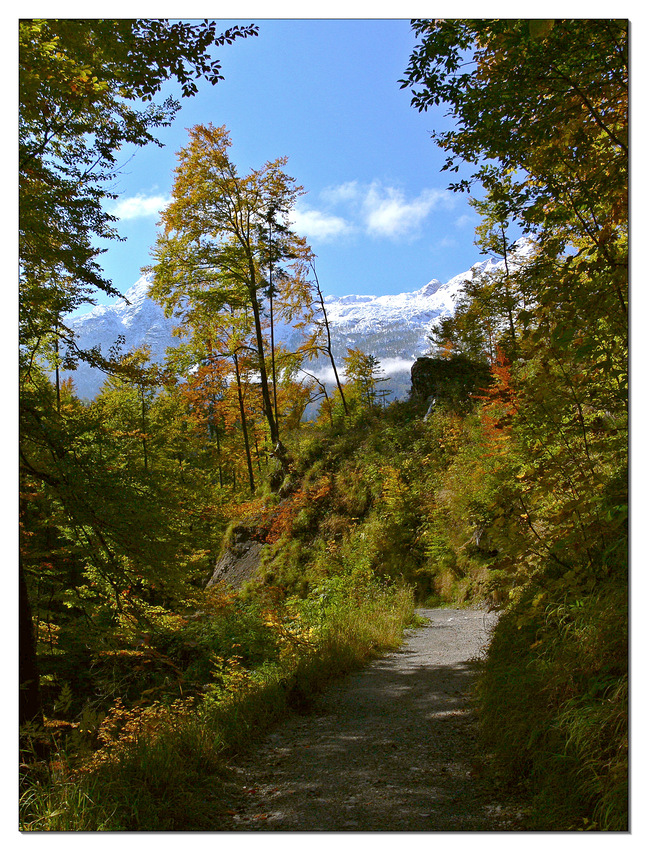 Herbstspaziergang