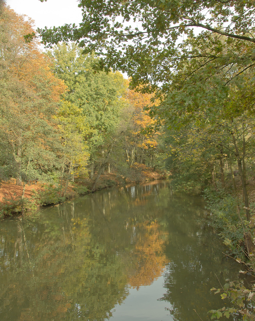 Herbstspaziergang