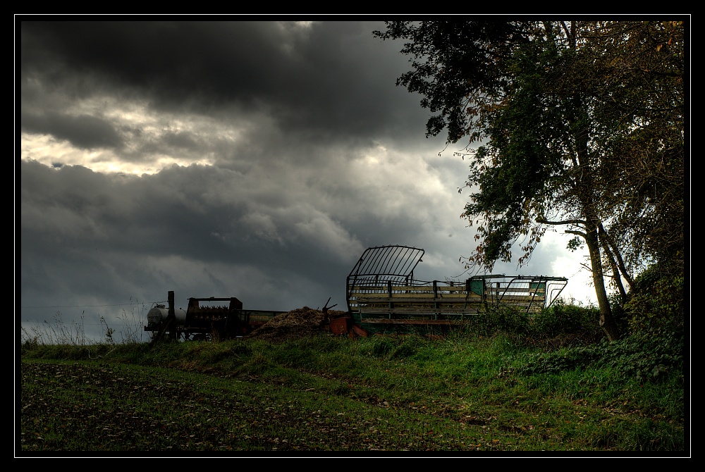 Herbstspaziergang