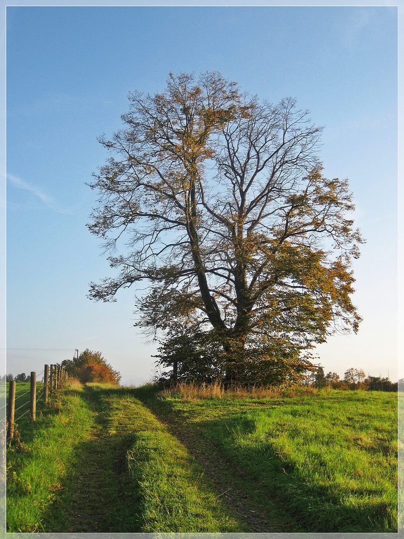 Herbstspaziergang