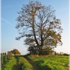 Herbstspaziergang