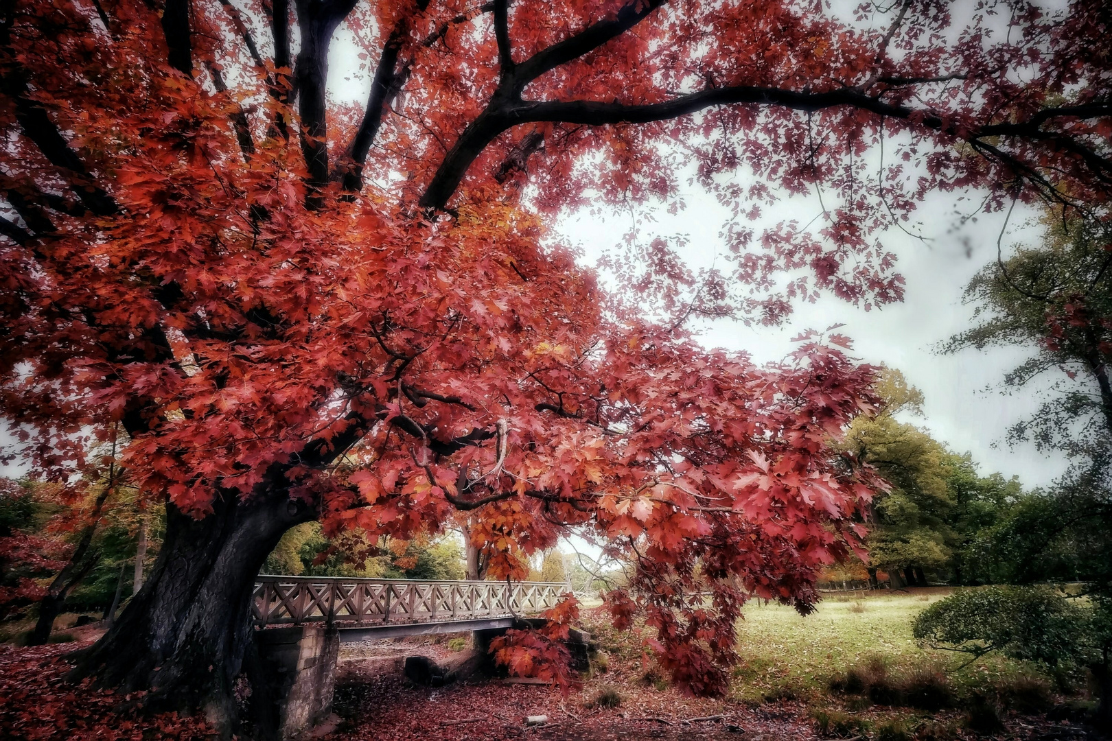 Herbstspaziergang