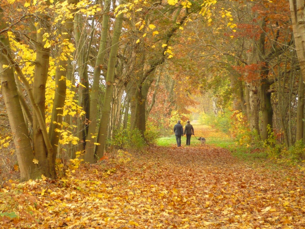 Herbstspaziergang