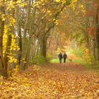 Herbstspaziergang