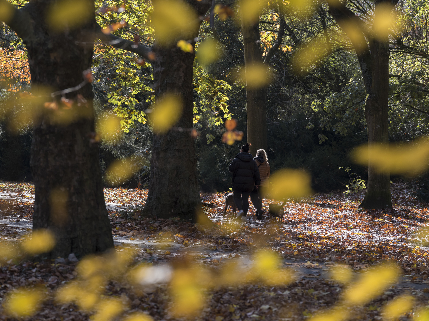 Herbstspaziergang