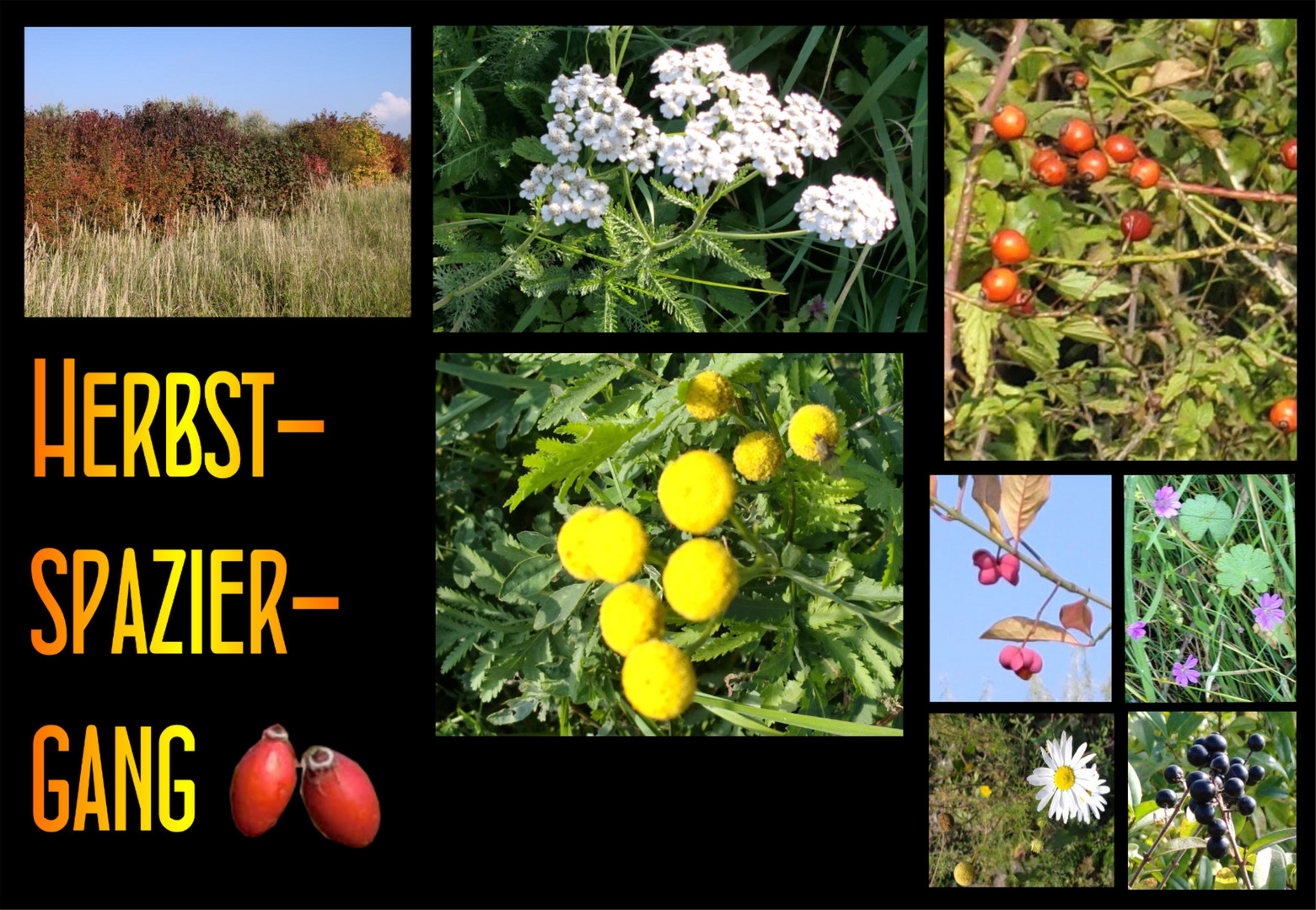 Herbstspaziergang