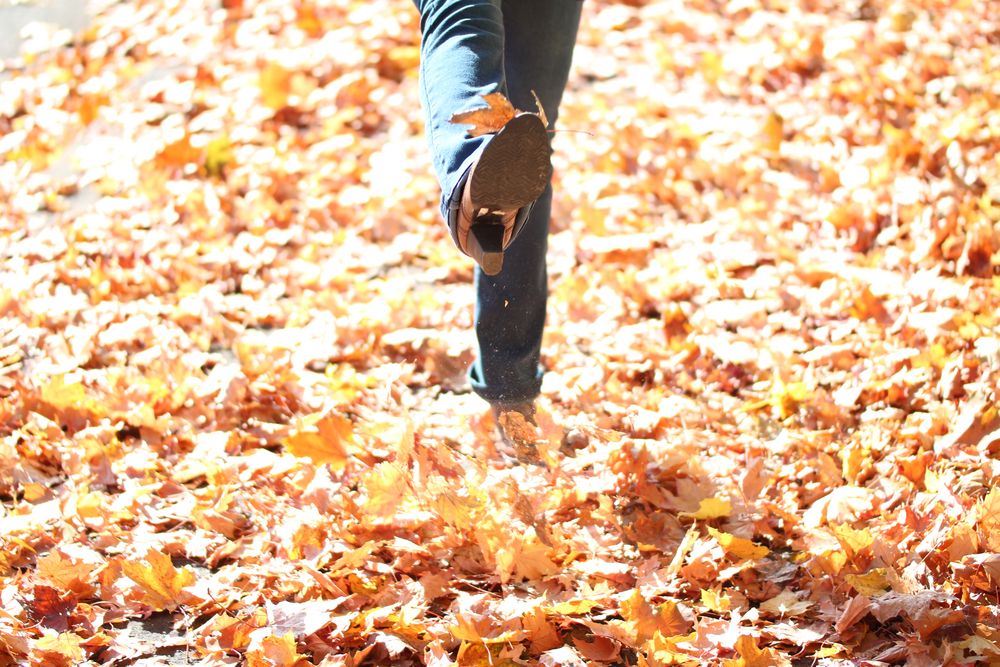 Herbstspaziergang