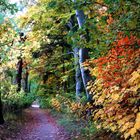 Herbstspaziergang