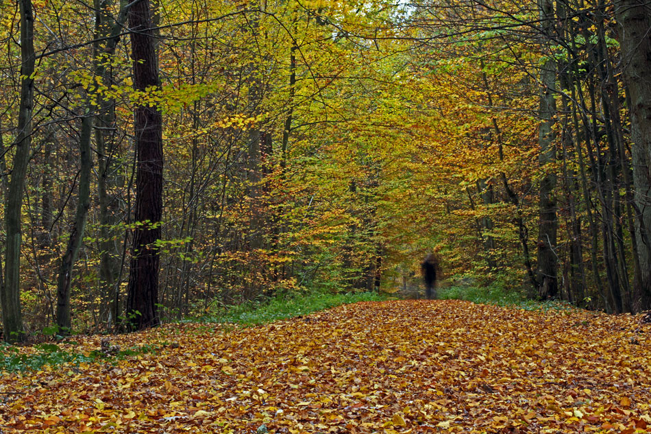 Herbstspaziergang...