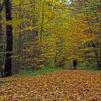 Herbstspaziergang...