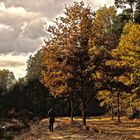 Herbstspaziergang ...