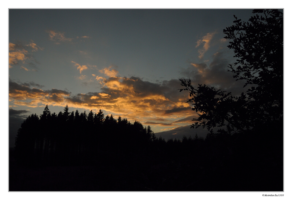 Herbstspaziergang