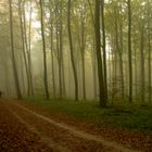 Herbstspaziergang