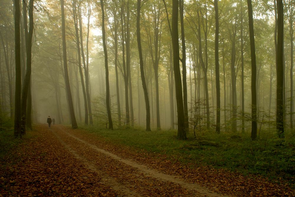 Herbstspaziergang