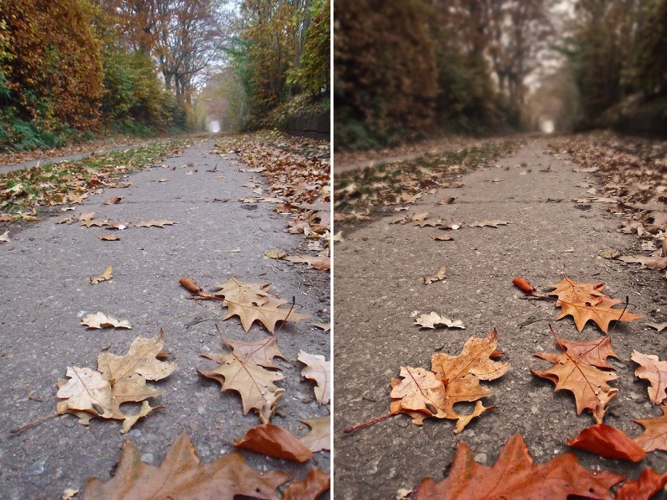 Herbstspaziergang