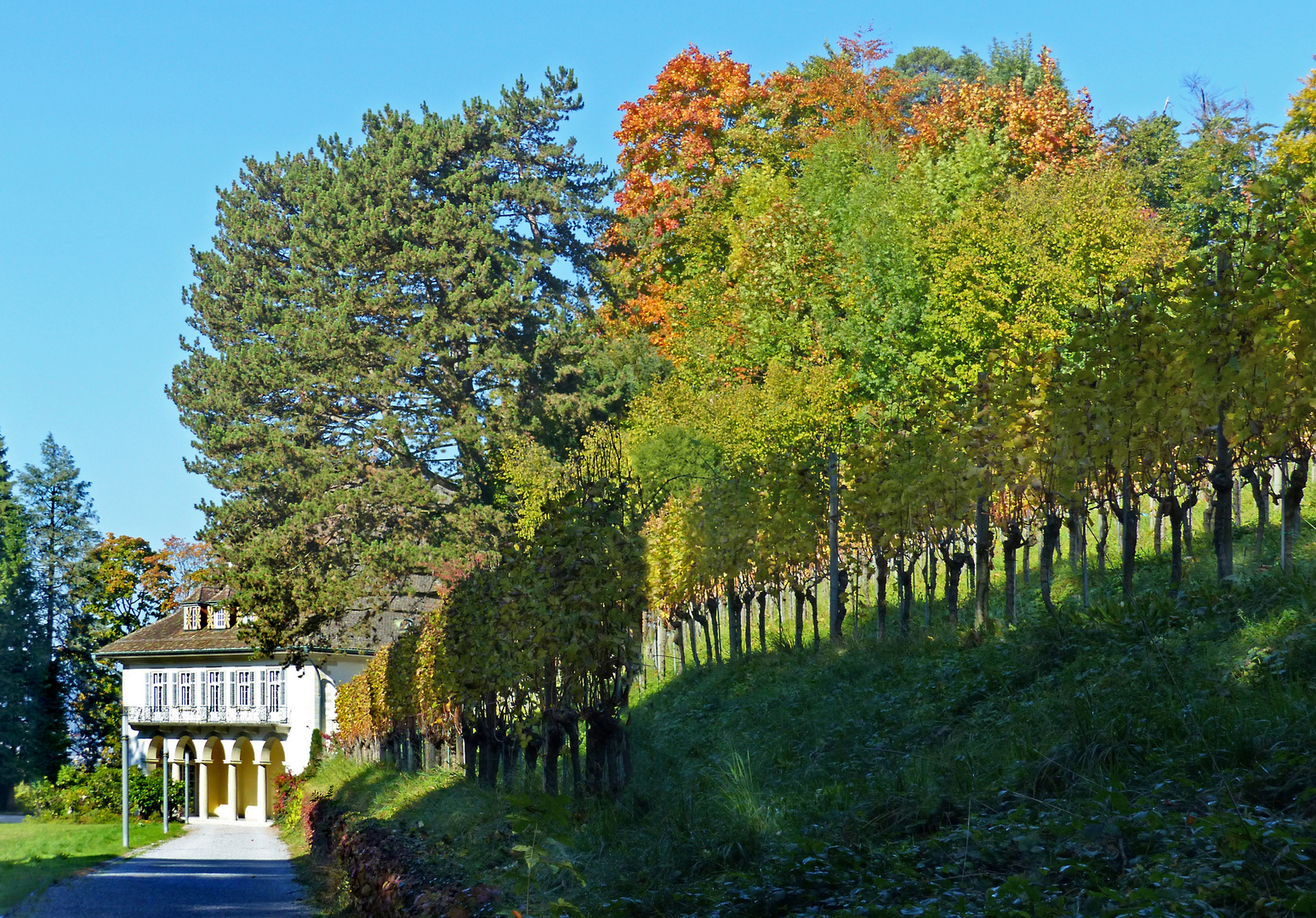 Herbstspaziergang