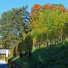 Herbstspaziergang