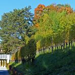 Herbstspaziergang