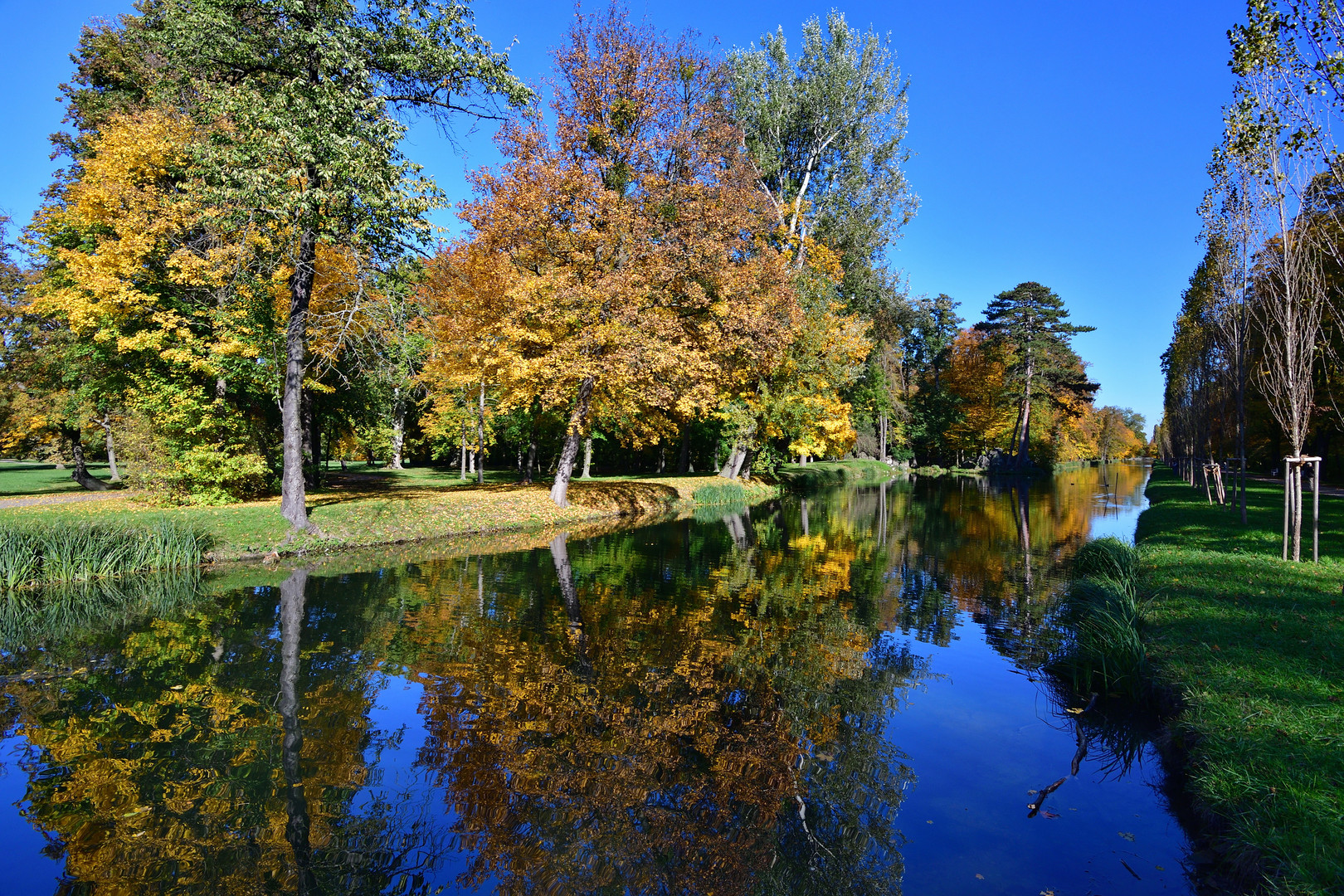 Herbstspaziergang 3