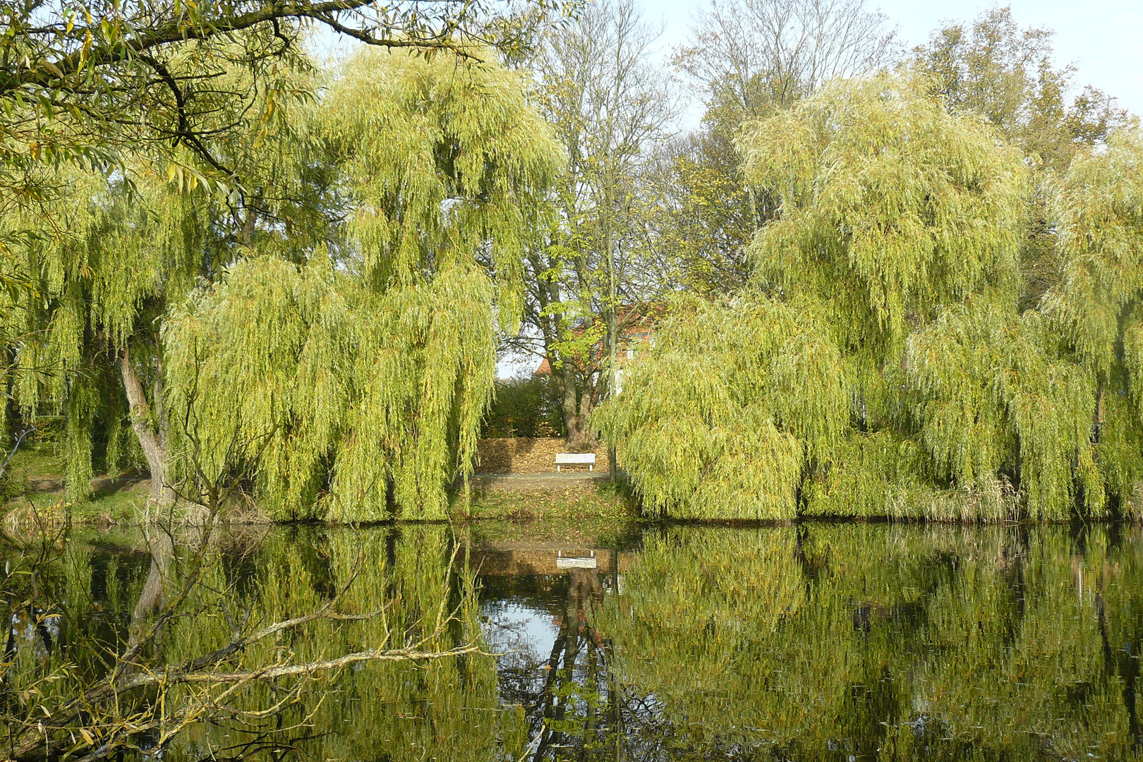 Herbstspaziergang 3