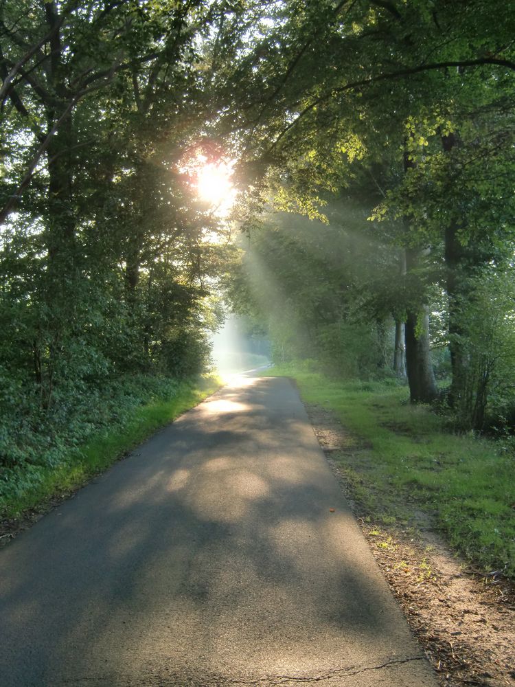 Herbstspaziergang 3