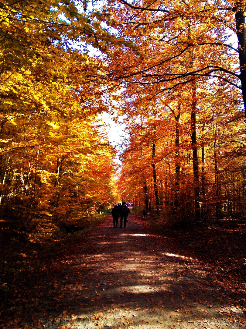 Herbstspaziergang