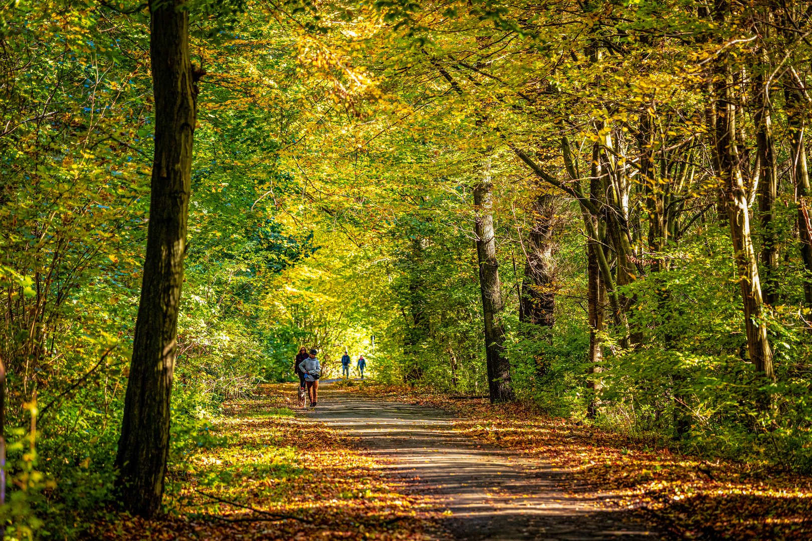 Herbstspaziergang...