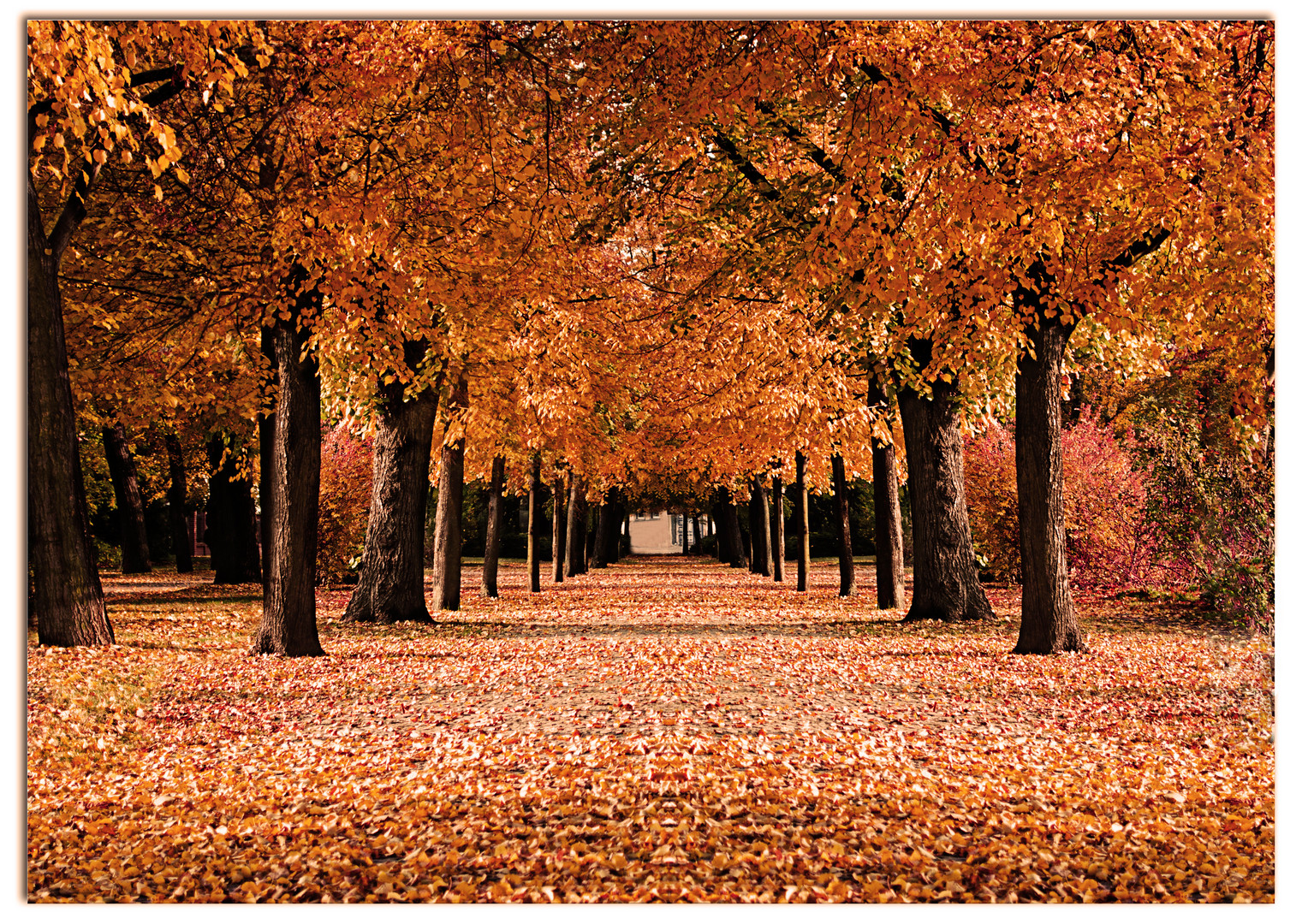 Herbstspaziergang