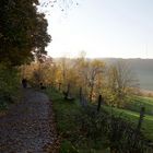 Herbstspaziergang