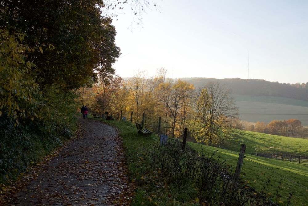 Herbstspaziergang