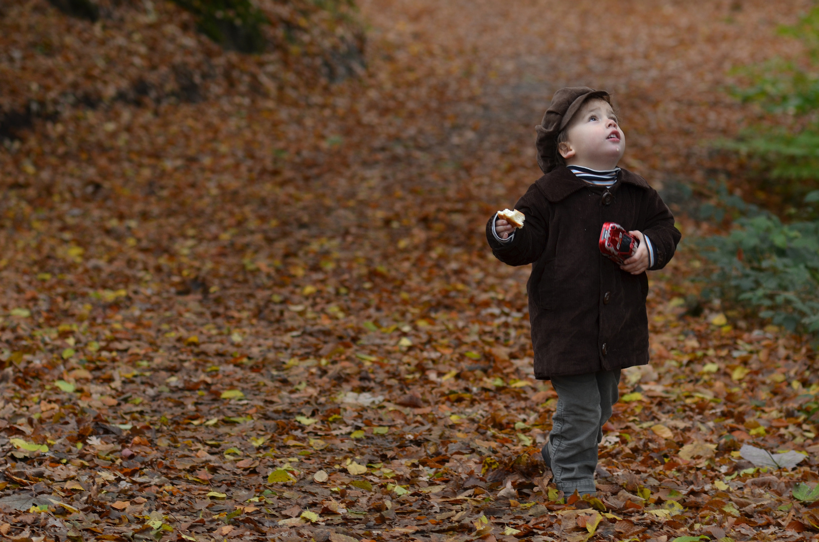 Herbstspaziergang