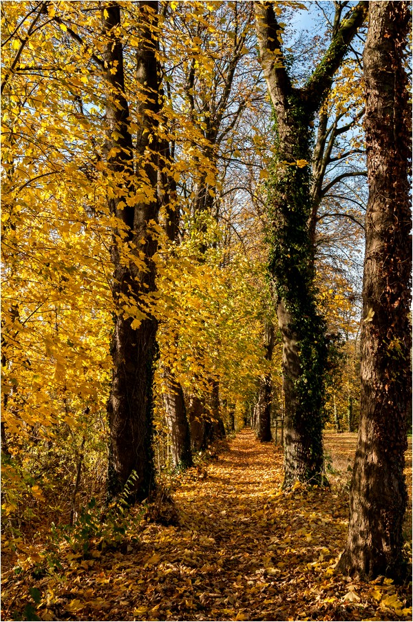 Herbstspaziergang